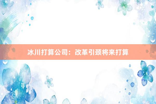 冰川打算公司：改革引颈将来打算